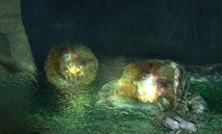 Giant Amoeba