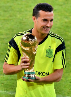 2010年世界杯冠军