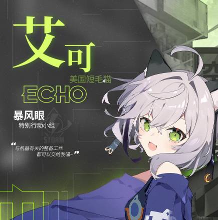 艾可