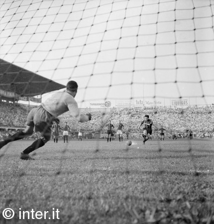 埃斯特万·尼尔斯