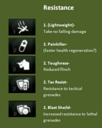 抵抗类Perk：