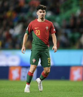 维蒂尼亚·费雷拉在葡萄牙国家队