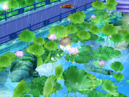 天宫莲池里雨中的风荷（雨天）