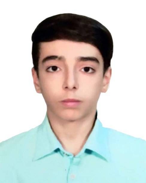 迈赫迪·哈吉穆萨埃纳富提