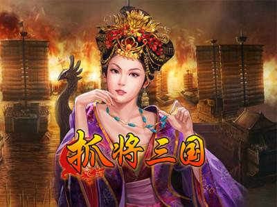 抓将三国