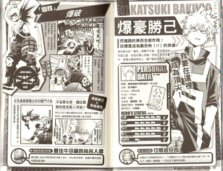 公式书资料