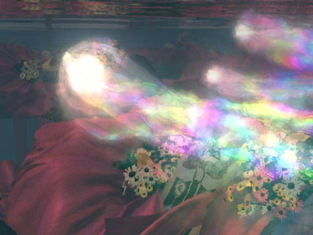 幻光虫