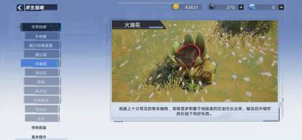 火油花