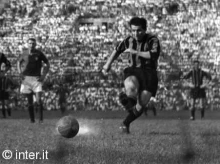 埃斯特万·尼尔斯