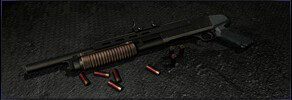 Shotgun
