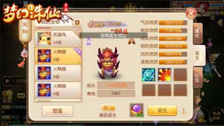 宠物4