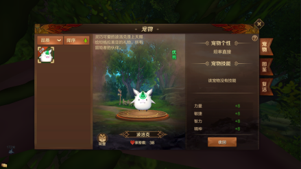 宠物