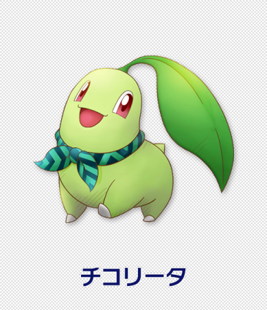 菊草叶
