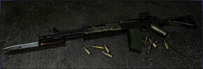 Assault Rifle RN