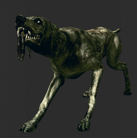 裂头犬