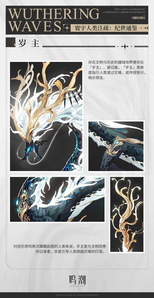 岁主