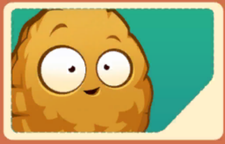 坚果墙（Wall-nut）