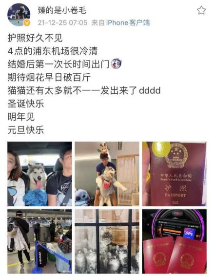 张之臻微博官宣