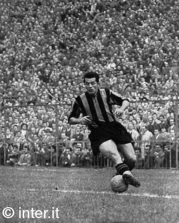 埃斯特万·尼尔斯