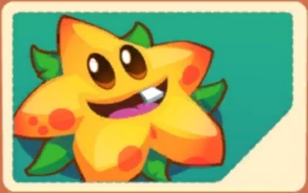 流星果（Starfruit）
