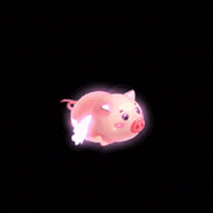 飞天猪猪