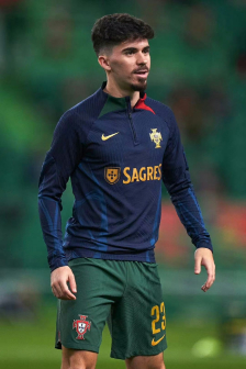 维蒂尼亚·费雷拉在葡萄牙国家队