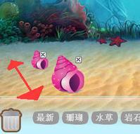 粉海螺
