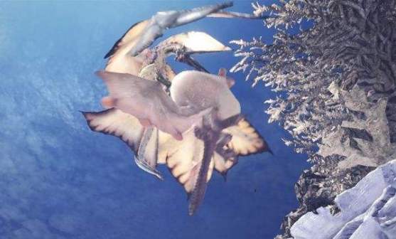 风漂龙与浮空龙缠斗