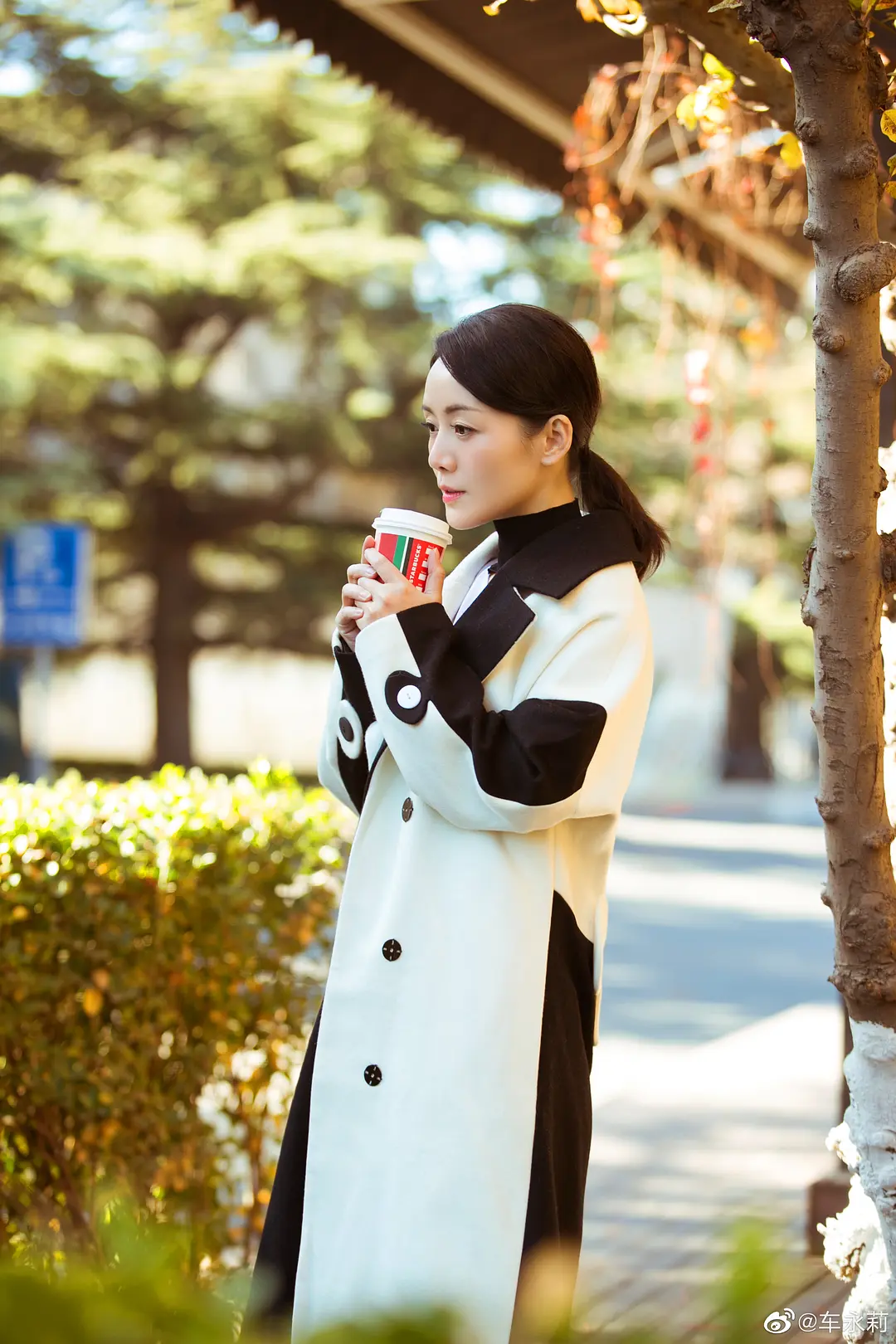 车永莉