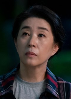 代理公司