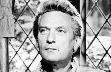 Peter Finch
