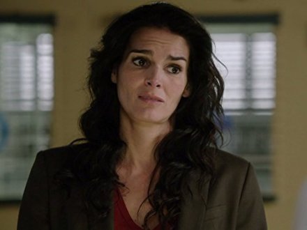 Angie Harmon 