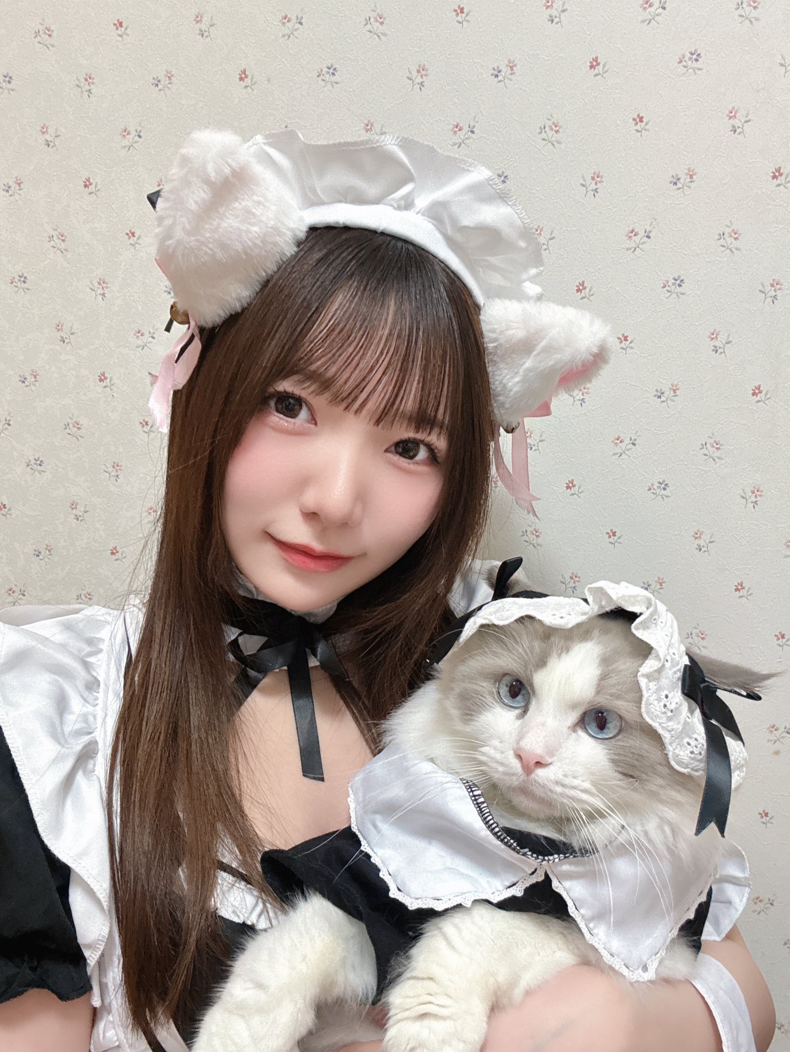 白石かんな