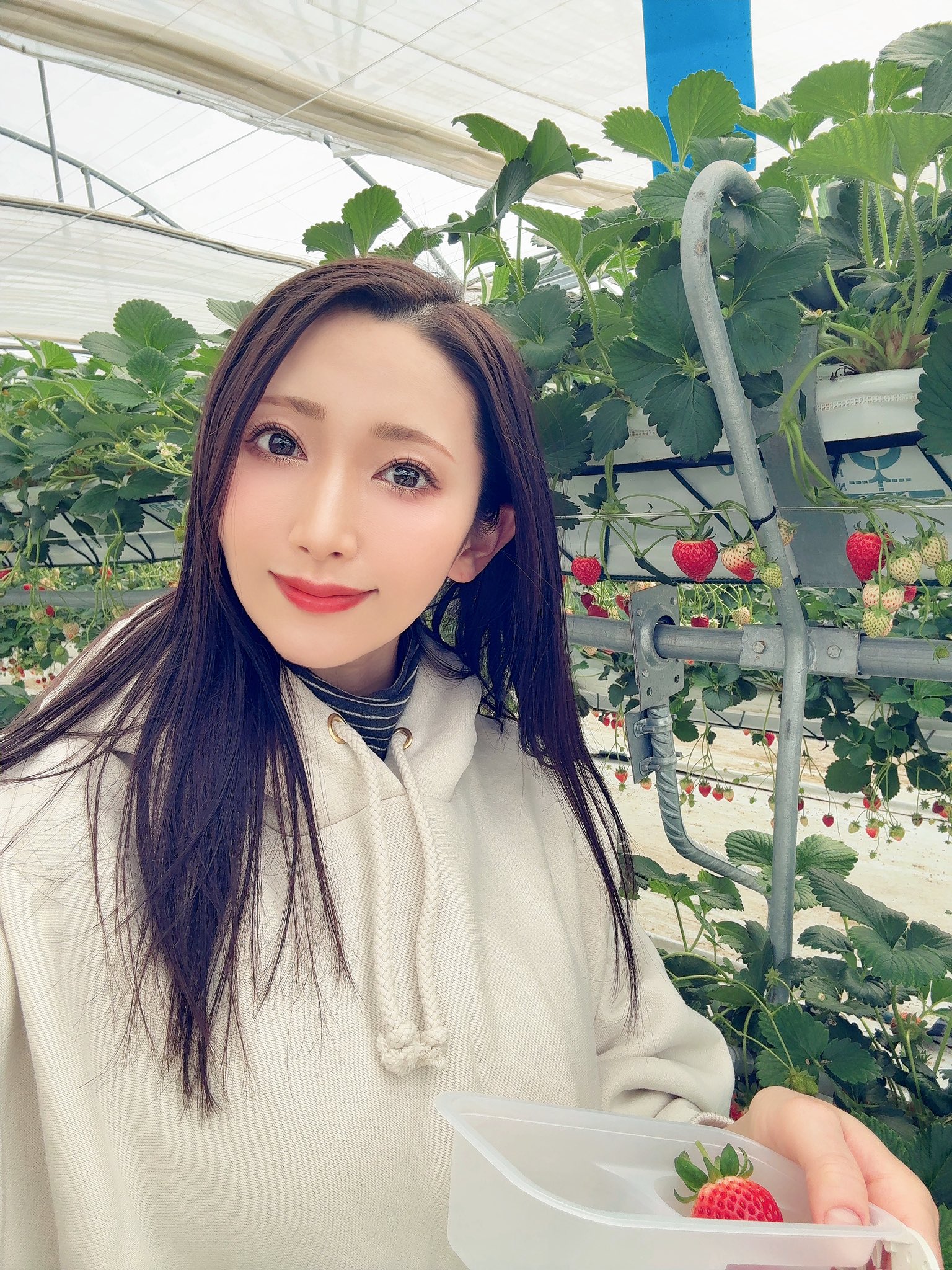 妃ひかり