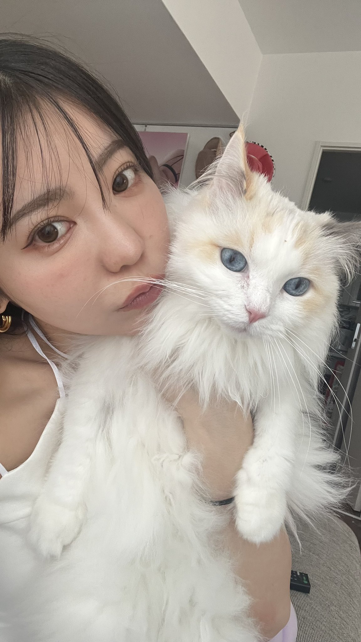 吉澤友貴