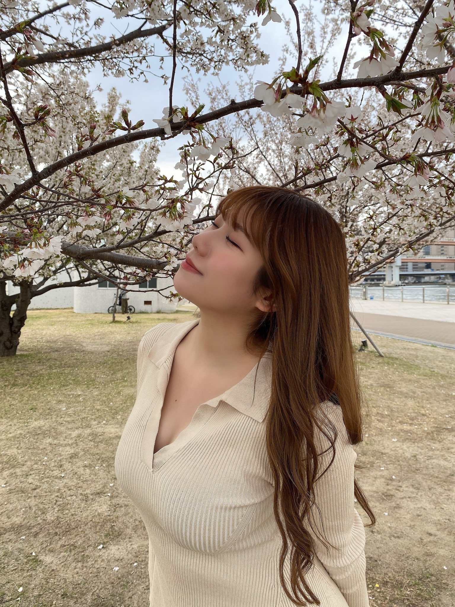 石田优美